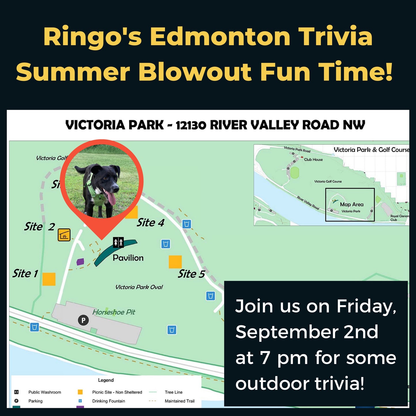 Ringo's Edmonton Trivia Summer Blowout Fun Time